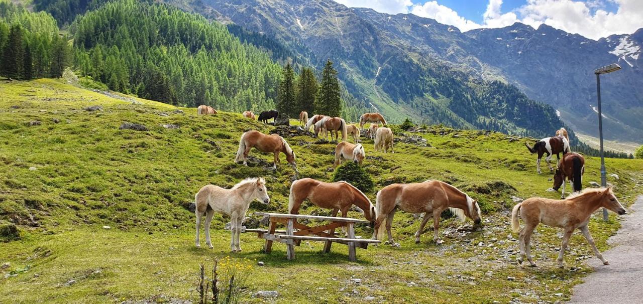 Gästehaus Landhaus Tyrol Gries im Sellrain Exterior foto