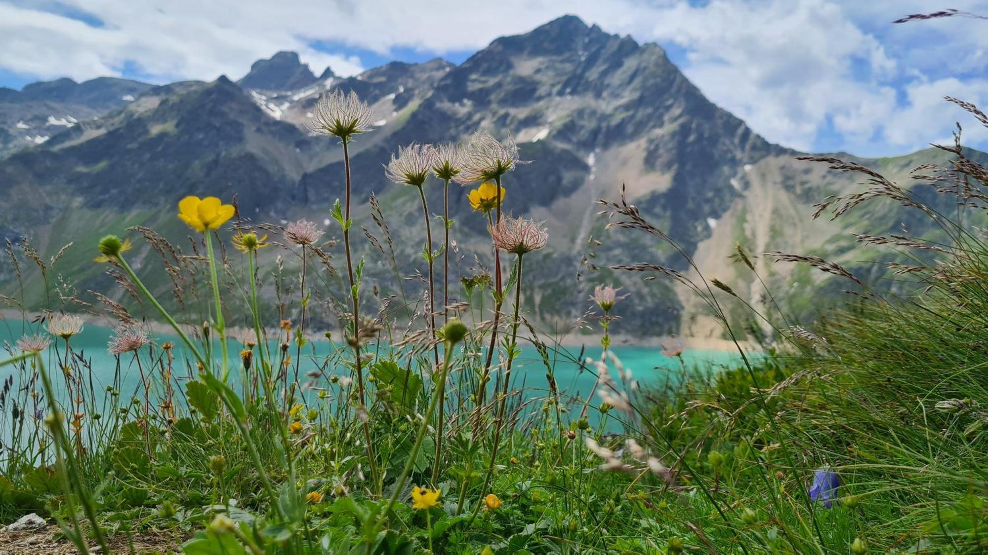 Gästehaus Landhaus Tyrol Gries im Sellrain Exterior foto
